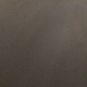 Meet your Posher, Rylee